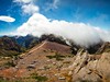 Eira_do_Serrado_madeira_spurek (5).jpg